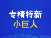 针对 2025 年专精特新 “小巨人” 企业申报过程中，企业普遍关心的 30 个热点问题，进行详细的解答与阐释